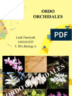 PPT Ordo Orchidales