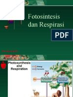 4 - Fotosintesis Dan Respirasi1