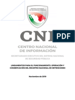 17. Lineamientos Registro Nacional de Detenciones