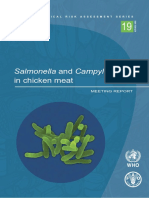 Salmonella and Campylobacter: in Chicken Meat