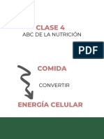 Clase 4 - ABC de La Nutrición (1)