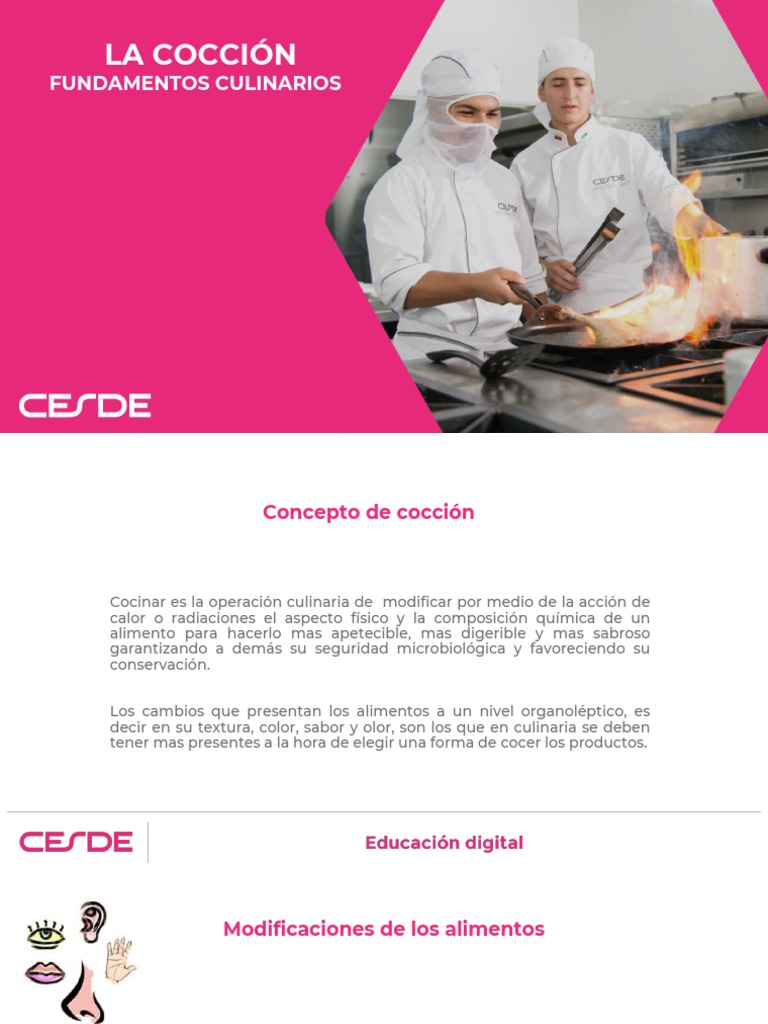 Fundamentos de la Cocción de Alimentos | PDF | Cocinando | Convección
