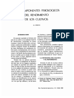 Documento Completo