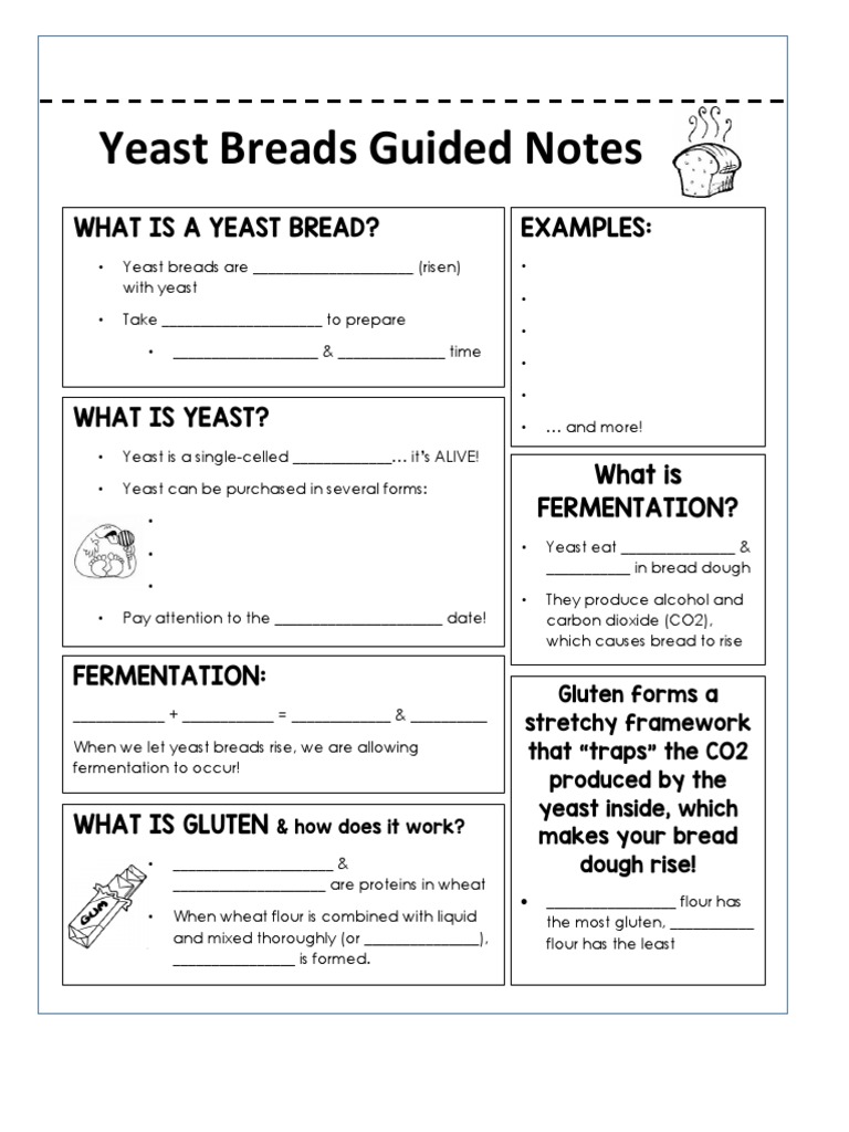 Yeast Breads Guided Notes What Is A Yeast Bread? Examples PDF Breads Dough