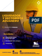 Liquidador y Sectorista Aduanero Virtual Lima