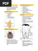 Edentulous Alveolar Ridge | PDF