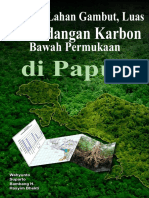 Buku Sebaran Gambut Papua 1