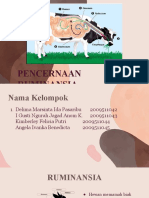 Pencernaan Ruminansia - Kelompok 2B