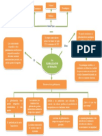 Seminario Actualizaciòn - Mapa Conceptual