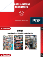 Plantilla Informe - Promotores - Ciudad