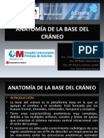 anatomia_de_la_base_del_craneo