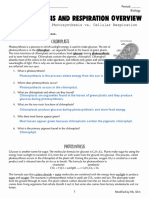  Photosynthesis & Respiration Overview