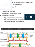 Microbiologia