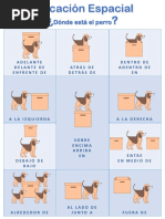 Flashcards - Preposiciones de Lugar
