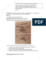 T. 1 SEXTO  Dibujo y Diseño 1ER  período Jornada Tarde 2021