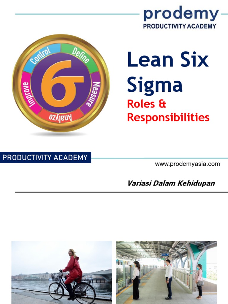 Lean Six Sigma Roles Explained | PDF