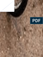 Ilovepdf Merged p06-p06