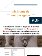 Síndrome de escroto agudo: torsión testicular y epididimitis