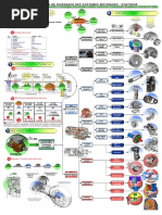 11 Synthèse - Transmission 2006 - A3V - Page 1