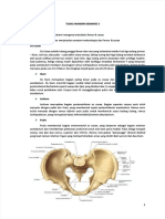 PDF PBL SK 3 Blok Musculo Yarsi DL