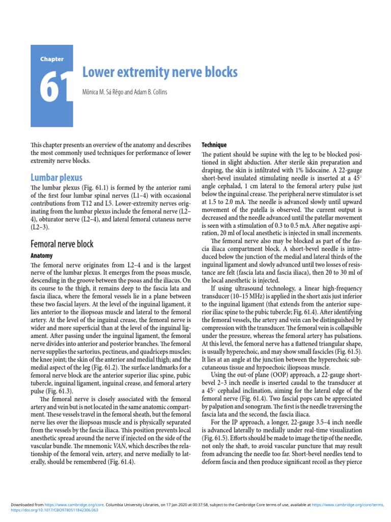 Lower Extremity Nerve Blocks: Lumbar Plexus | PDF | Human Leg | Ankle