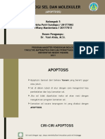 Kelompok 5_Apoptosis-1