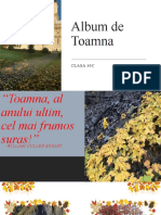 Album de Toamna