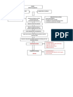 Immune System Digestive System: Fever (Chief Complaint)