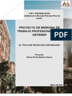 Memoria de Trabajo Profesional