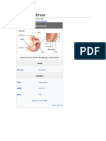 Serous Membrane: Jump To Navigation Jump To Search