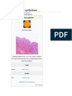 Transitional Epithelium