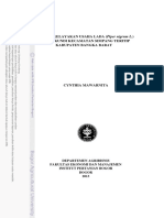 Analisis Kelayakan Usaha Lada (Piper Nigrum L.) Di Desa Kundi Kecamatan Simpang Teritip Kabupaten Bangka Barat