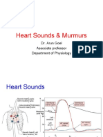 347 Heart Sounds & Murmurs