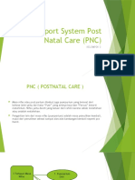 Support System Post Natal Care (PNC)