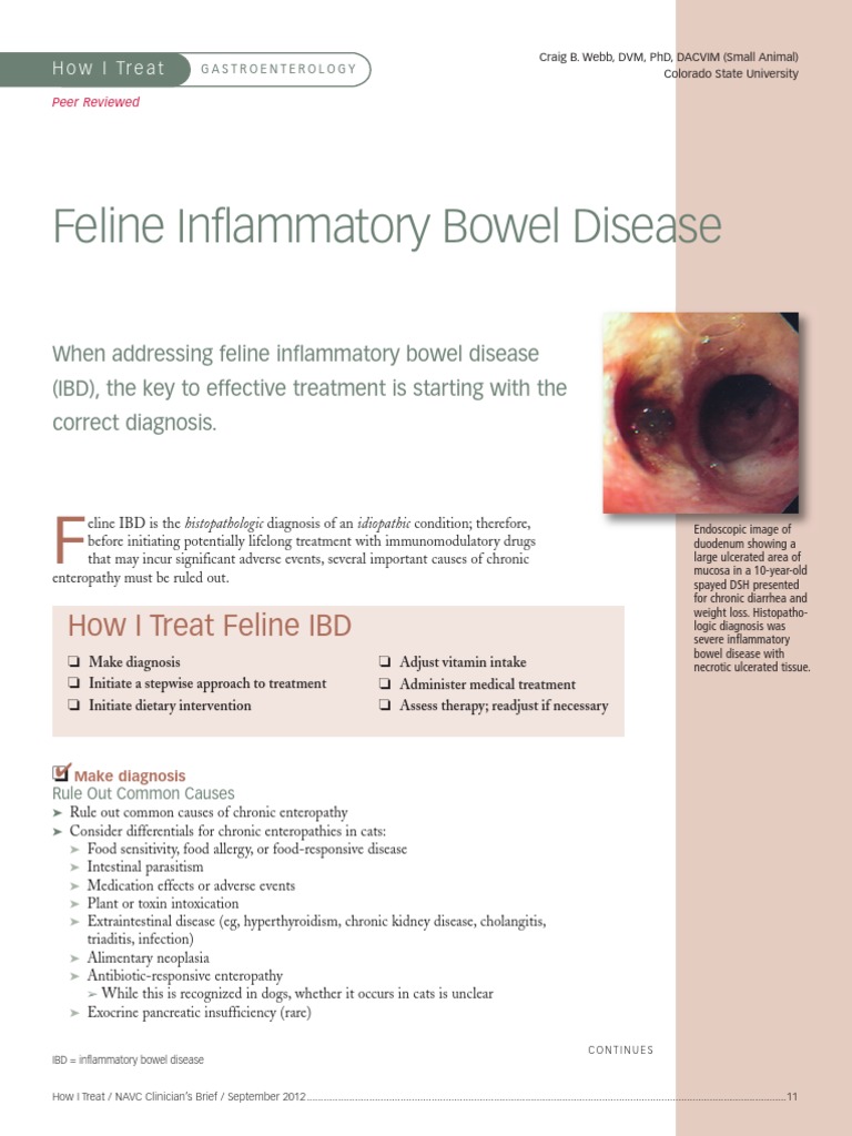 Feline Ibd 7086 Article PDF Inflammatory Bowel Disease Dietary Fiber