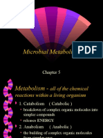 Chapter 5 MICROB METABOLISME