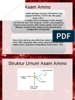 Asam Amino Protein