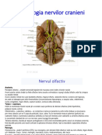 Semiologia Nervilor Cranieni Text 2018