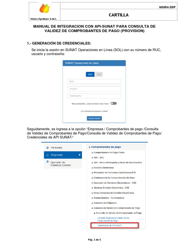 Cartilla consulta comprobantes de pago api sunat pdf