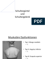 MTT Schultergürtel Schüler