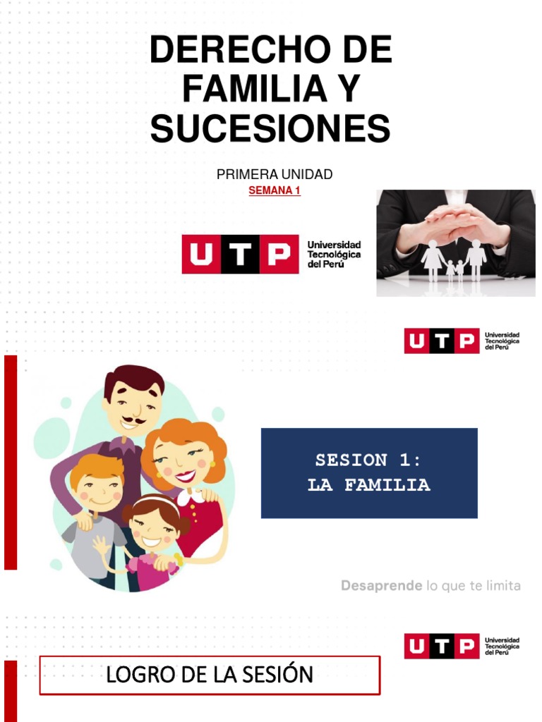 Concepto y Transformación de la Familia | PDF | Parentesco | Familia