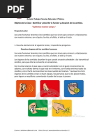 Guia Los Sentidos Primero Basico