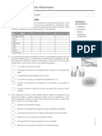 Interpretar Situaciones - Medicion