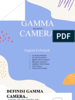GAMMA CAMERA INSIGHTS