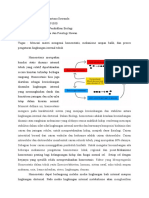 Anfiswan Homeostatis Dll-Dewi Portuna Suwanda (F1071191050)