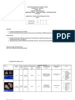 Lab1 Geologia