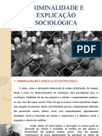 Criminalidade e Explicação Sociológica