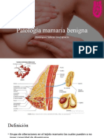 Patologia Mamaria Benigna