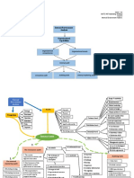 Internal Environment Analysis: Organizational Competencies Organizational Assets