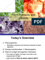 Plant Pigments - Bioenergetics - and Lights